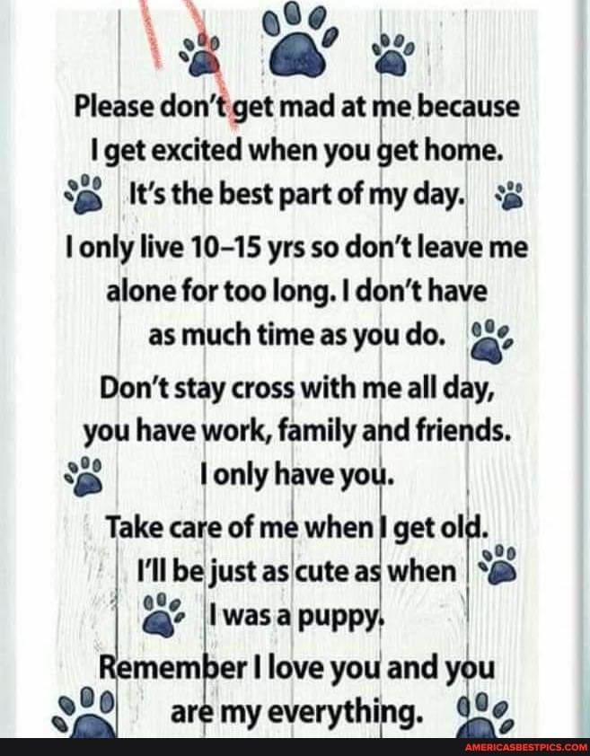 Please don't get mad at me because get excited when you get home.
It's the best part of my day.
only live 10-15 yrs so don't leave me alone for too long. I don't have as much time as you do. a
Don't stay cross with me ail day, you have work, family and friends.
only have you.
Take care of me when get be just as cute as when was a puppy.
member love you and you
aremy everything.