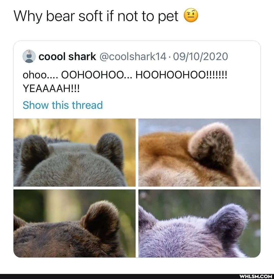 Why bear soft if not to pet &
coool shark @coolshark14
ohoo.... OOHOOHOO...
YEAAAAH!!!
Show this thread