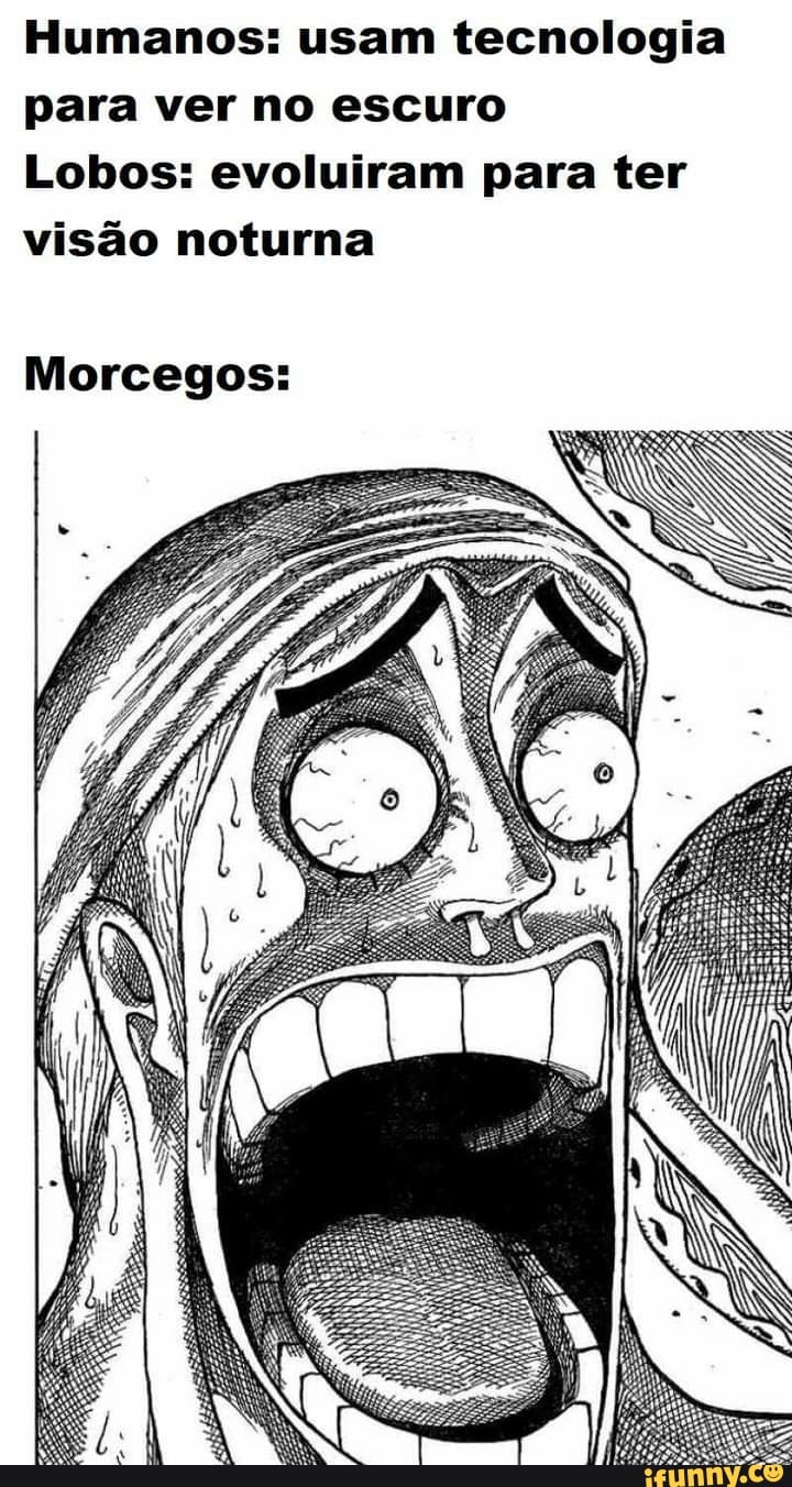 Humanos: usam tecnologia para ver no escuro
Lobos: evoluiram para ter visão noturna
Morcegos: