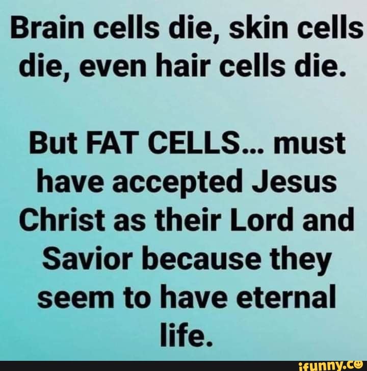 Brain cells die, skin cells die, even hair cells die. But FAT CELLS ...