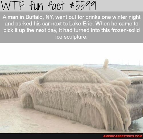 WTF fun Aman in Buffalo, NY, went out for drinks one winter and parked