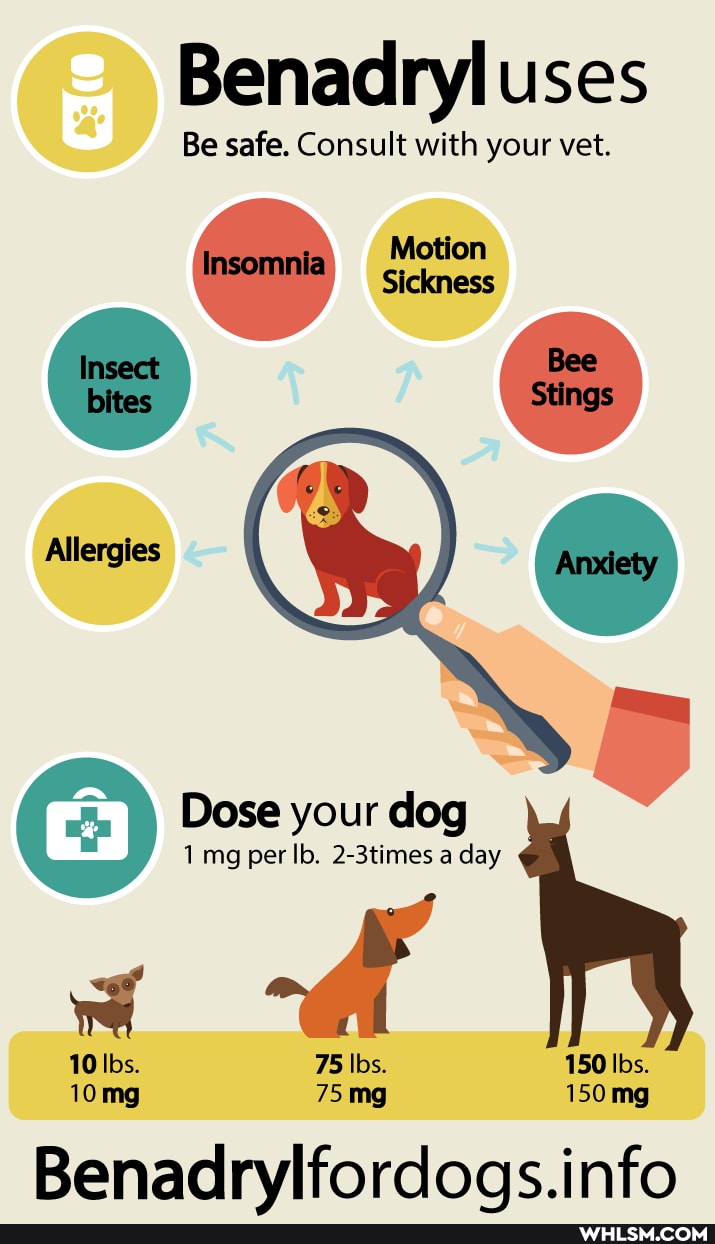 Benadryl uses
Be safe. Consult with your vet.
Motion
Sickness
Stings
Allergies
Dose your dog
per 2-3times a day
10 lbs. 75 lbs. 150 Ibs.
10mg 75 mg 150 mg
into