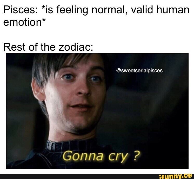 Pisces Is Feeling Normal Valid Human Emotion Rest Of The Zodiac Sweetserialpisces Gonna