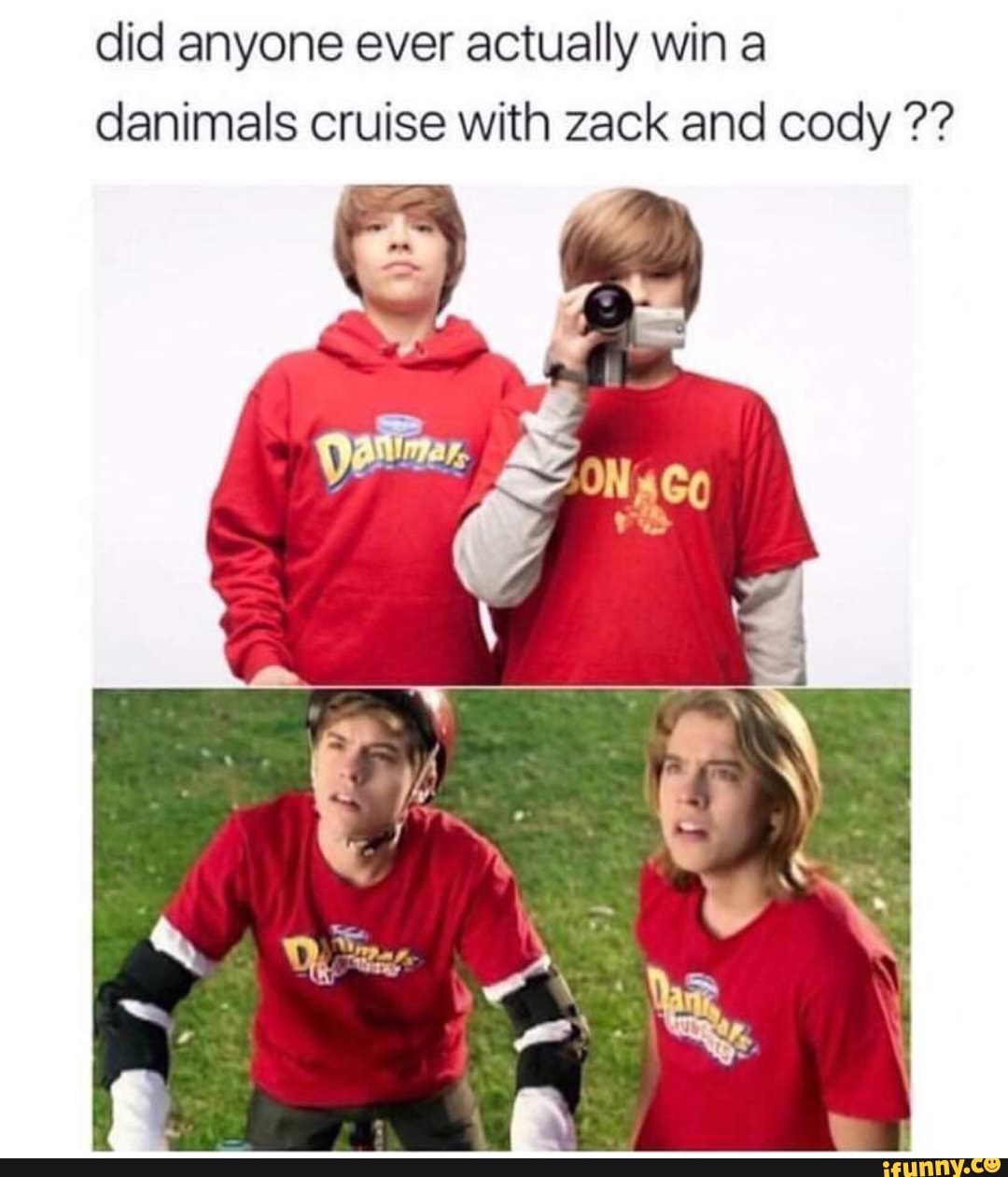 Did anyone ever actually win a danimals cruise with zack and cody
