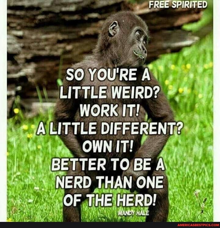 " FREE 'SPIRITED
LITTLE RE AW ey
LITTLE WEIRD?
WORKIIT!, ejAILITTLE OWNIT!
/NERD THAN ONE THEIHERD!
MANBY, HALE