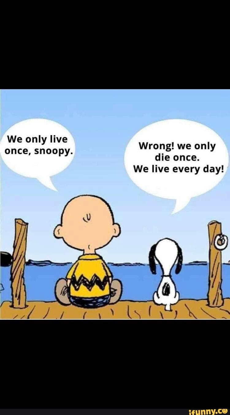 We only live ! once, snoopy. Wrong. we only die once. We live every day ...