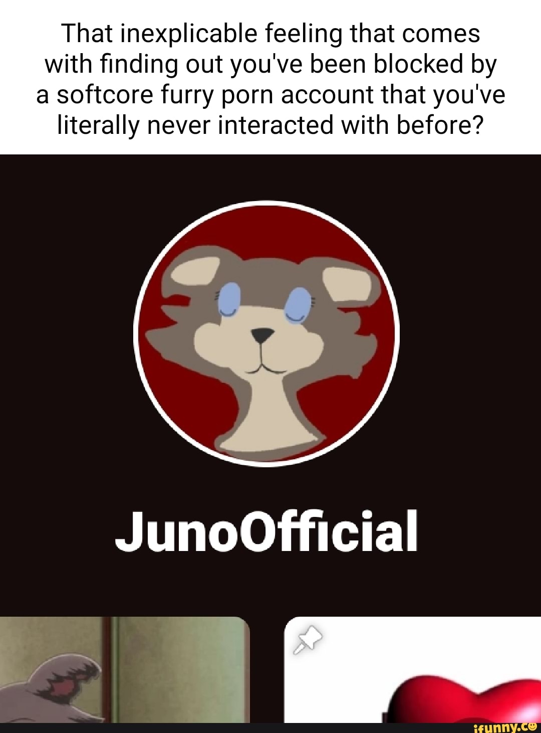 Softcore Furry Porn - That inexplicable feeling that comes with finding out you've been blocked  by softcore furry porn account that you've literally never interacted with  before? JunoOfficial - iFunny Brazil
