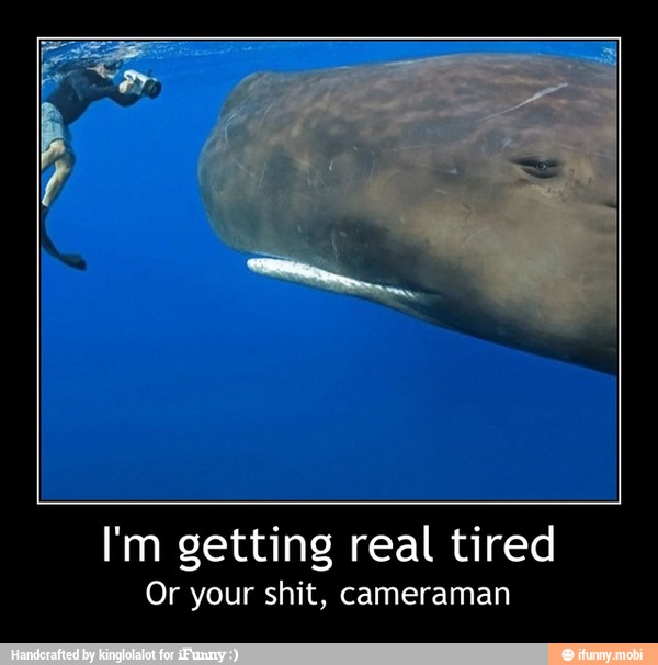 I'm getting real tired
Or your shit, cameraman - I'm getting real tired
Or your shit, cameraman
