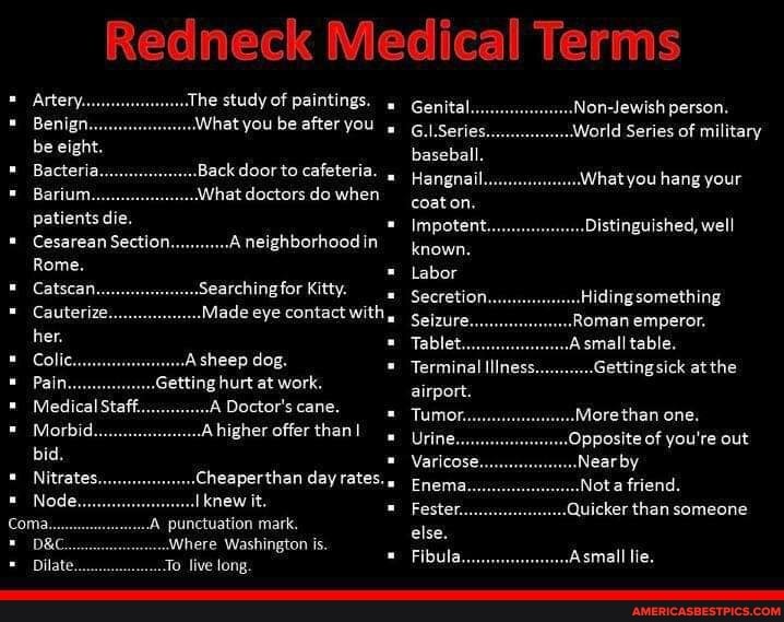 Redneck Medical Terms
The study of paintings.
What you be after you
Back door to cafeteria.
What doctors do when
Bacteria
Cesarean Section... neighborhood in
Rome.
Catscan.. Searching Kitty.
.Made eye contact with,
-Asheep dog.
jetting hurt at work.
cane.
Cheaperthan day rates.
knew it.
/A punctuation mark.
Dilate
To live tong.
Genital Non-Jewish person.
G.I.Series.. World Series of military baseball
Hangnal hat you hang your coat on.
Impotent, Distinguished, well known
Labor
Secretion. ..Hidingsomething
Seizure Roman emperor.
Tablet. small
Terminal Illness.
airport.
.Gettingsick at the
More then one.
Opposite of you're out
Nearby by
Nota friend.
Quicker than someone
small lie.