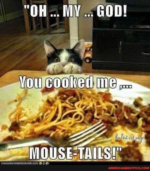 "OH... MY... GOD!
cooked