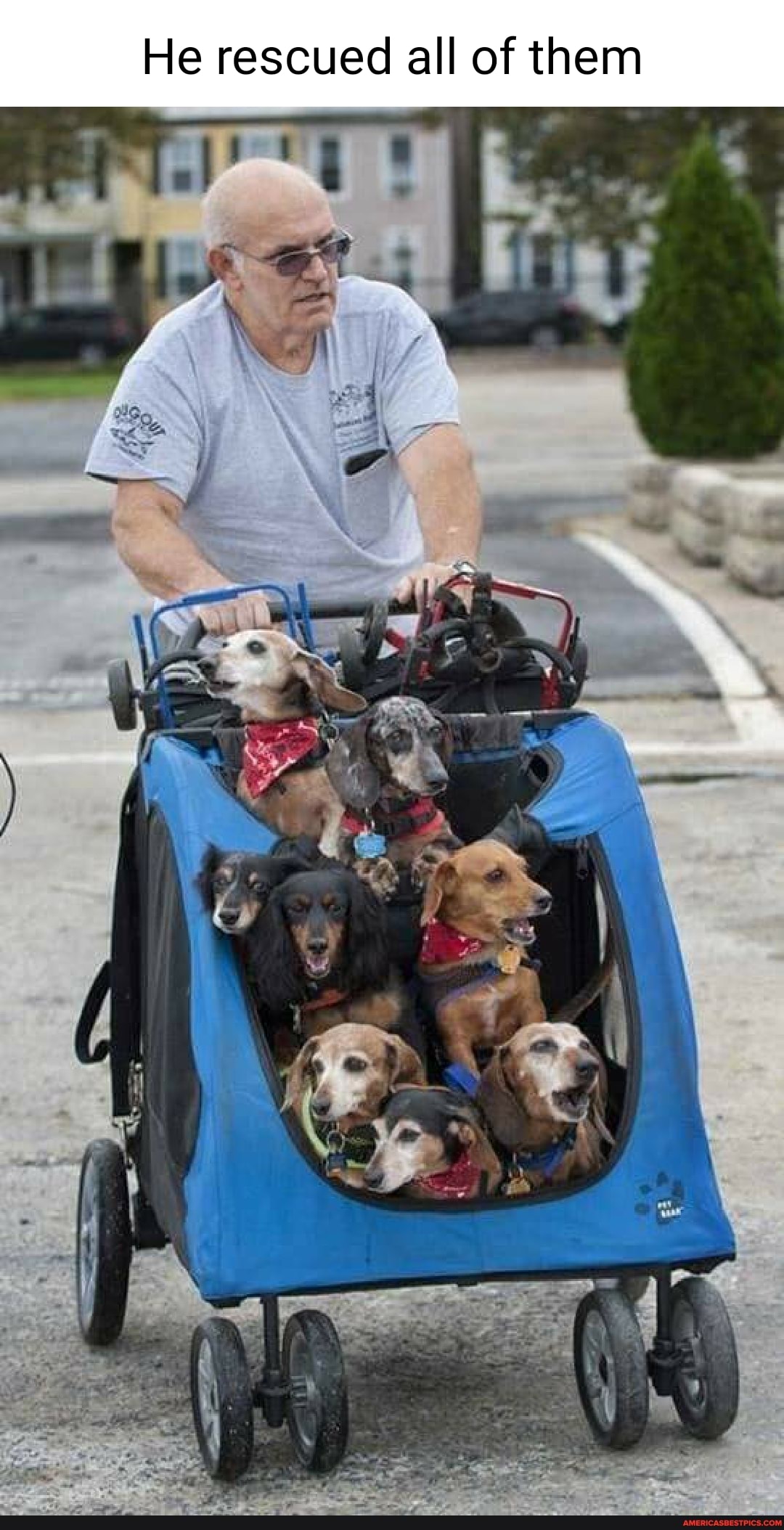 He rescued all of them