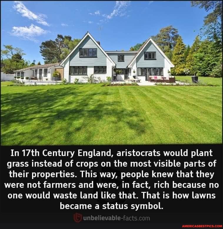In 17th Century England, aristocrats would plant grass instead of crops on the most visible parts of their properties. This way, people knew that they were not farmers and were, in fact, rich because no one would waste land like that. That is how lawns became a status symbol.
unbelievable-facts