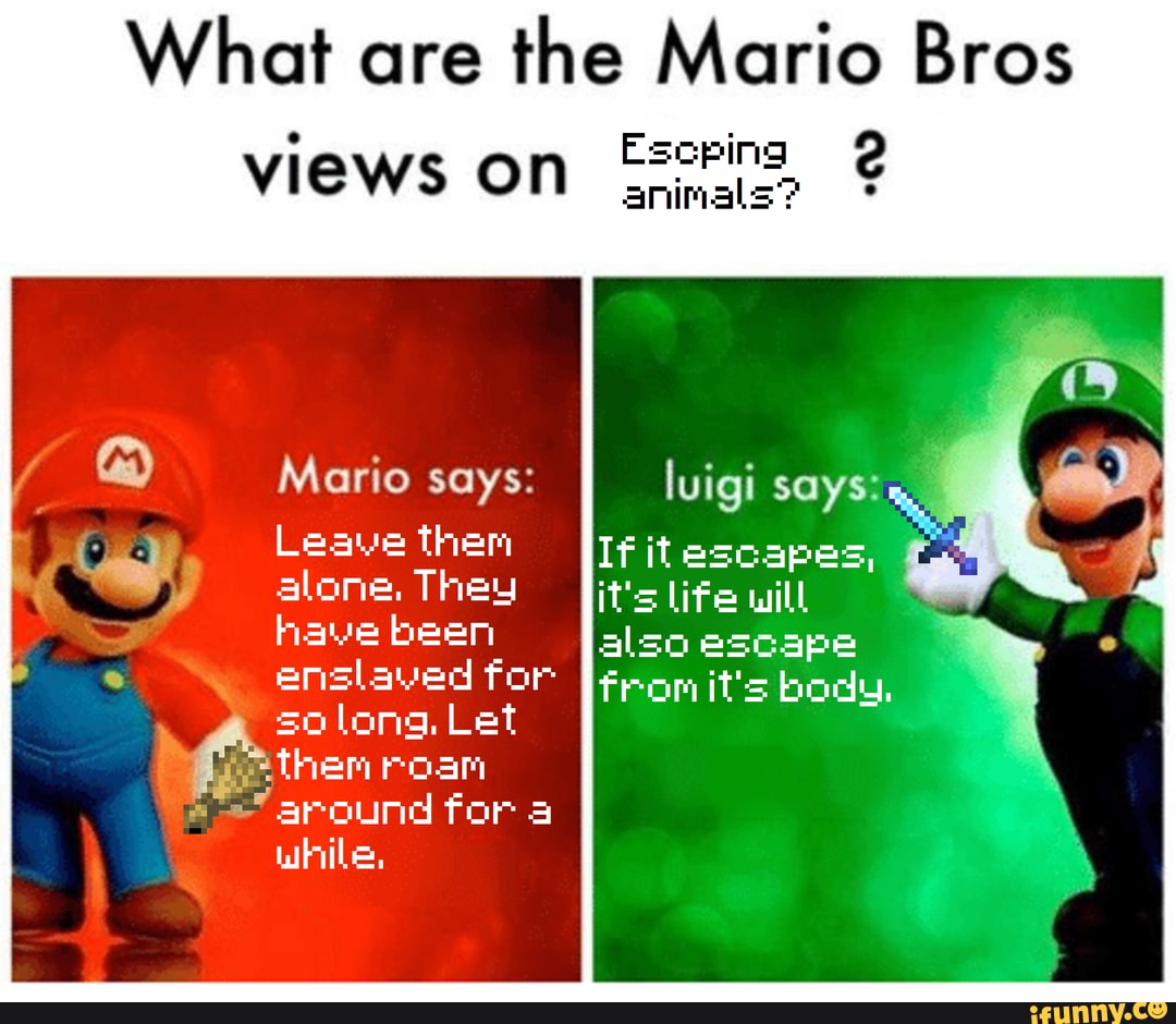 What are the Mario Bros views on animals? Escping Mario says: luigi ...