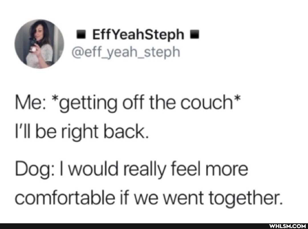 EffYeahSteph
@eff yeah steah
Me: "getting off the couch*
I'll be right back.
Dog: I would really feel more comfortable if we went together.