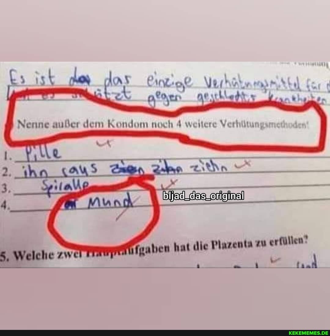 !den esthle
weiler
fgaben hat die Plazenta zu erfüllen?