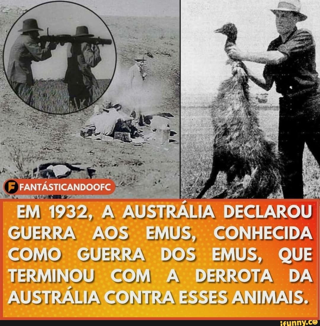 EM 1932, A A AUSTRÁLIA DECLAROU GUERRA AOS EMUS, CONHECIDA COMO GUERRA DOS EMUS, QUE TERMINOU COM A DERROTA DA AUSTRÁLIA CONTRA ESSES ANIMAIS.