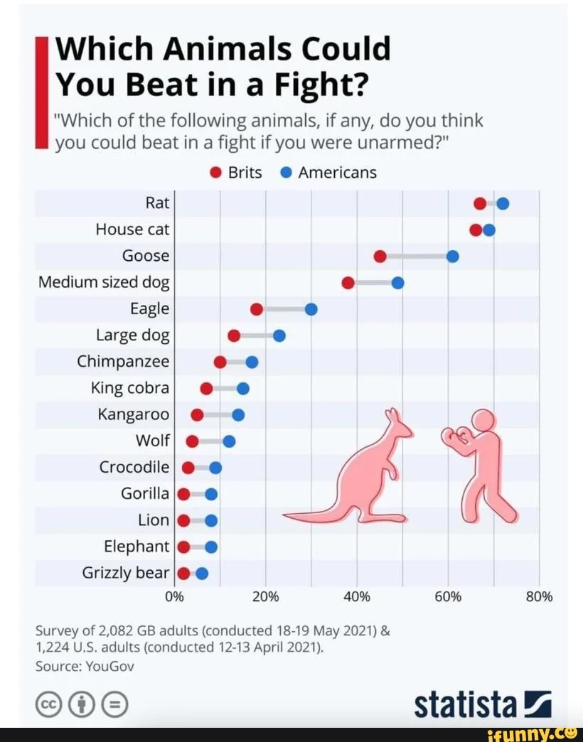 Which Animals Could You Beat in a Fight? "Which of the following