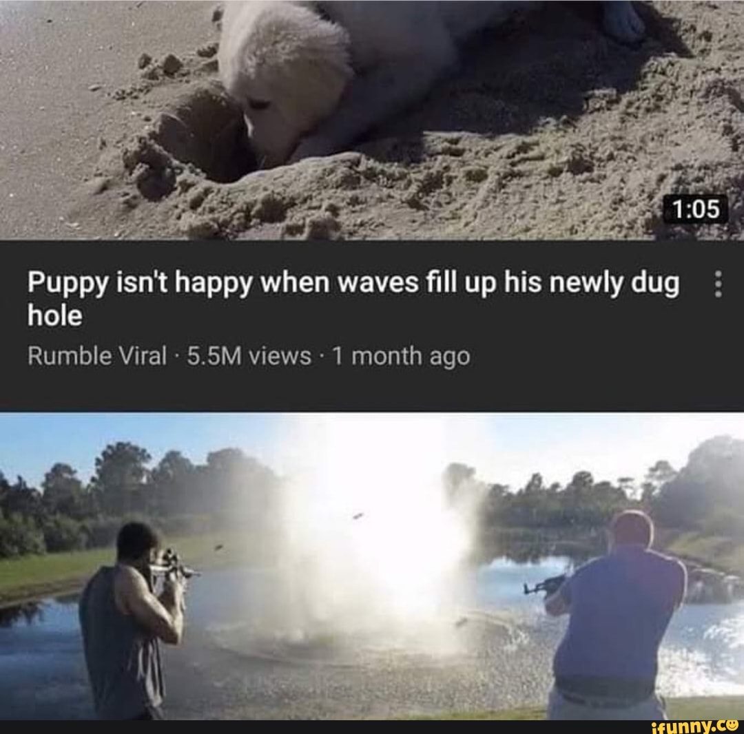 Puppy isn't happy when waves fill up his newly dug
hole
Rumble Viral 1 month ago