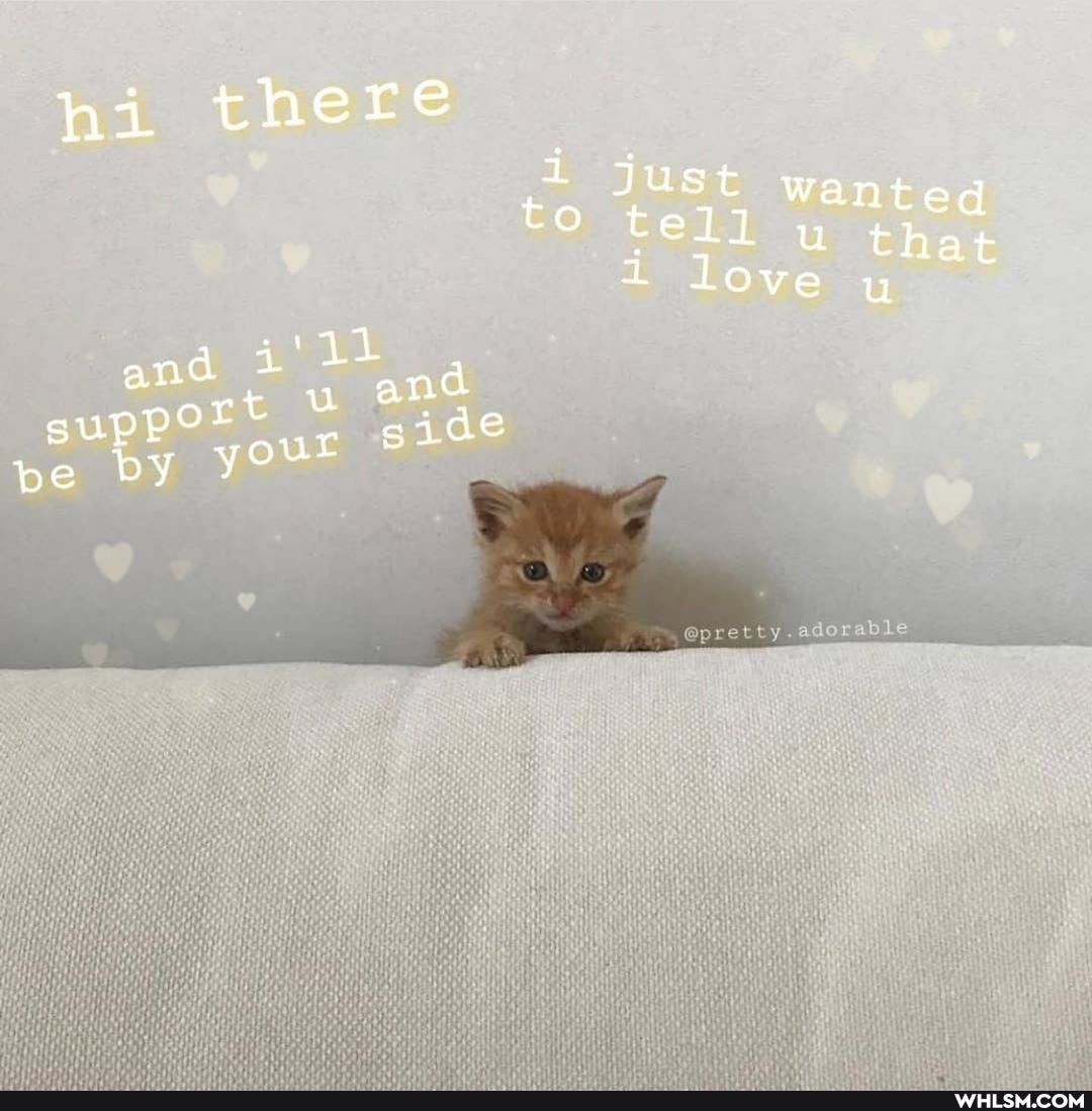 hi there
Just w
to tell that love y
and dd su ort be by your side