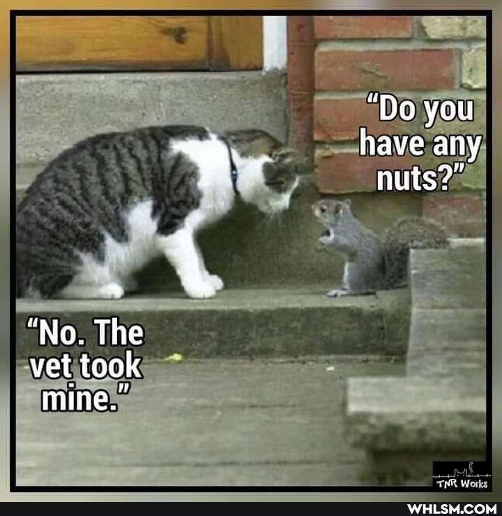 "Do you
have any nuts?
"No. The vet took mine."