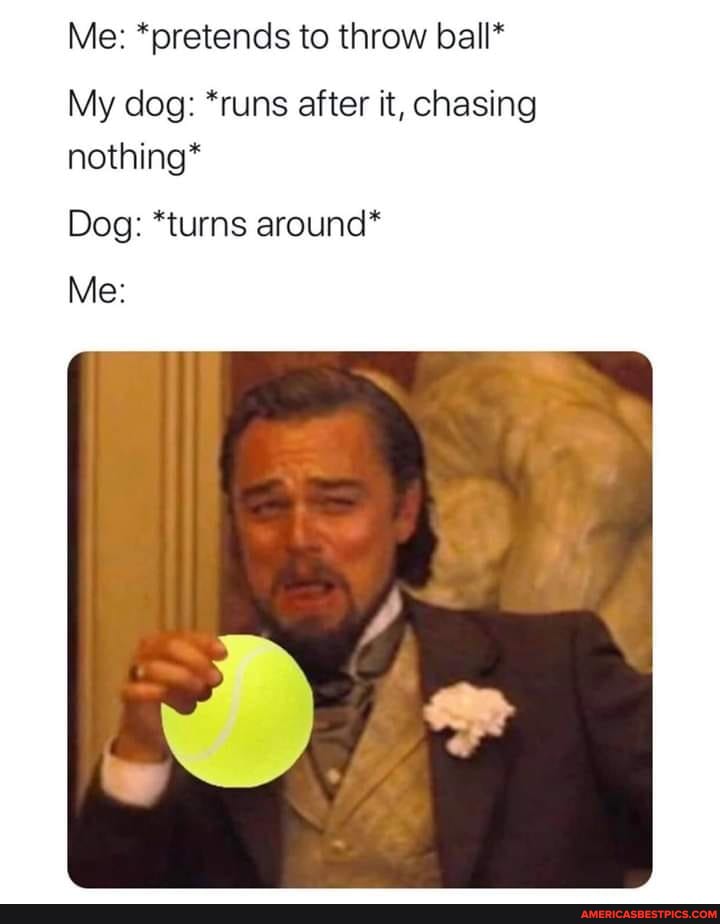 Me: *pretends to throw ball*
My dog: *runs after it, chasing nothing*
Dog: *turns around*
Me: