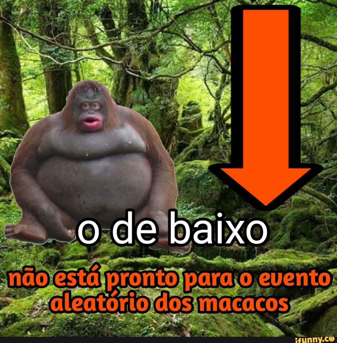 shitpost, memesdecomentario
