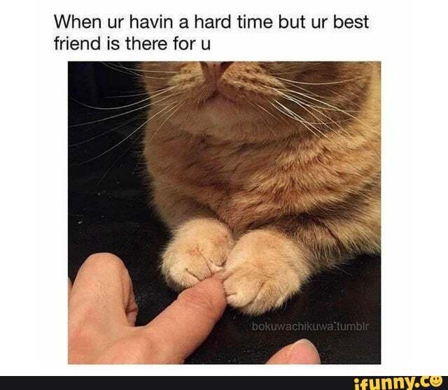 When ur havin a hard time but ur best friend is there for u