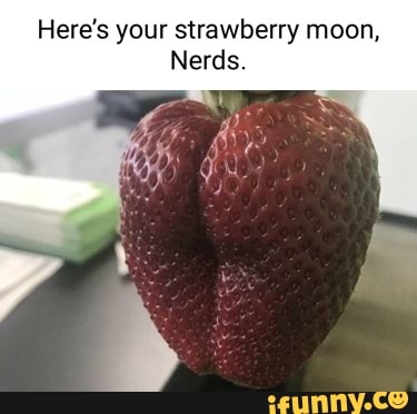Strawberrymoon memes Best Collection of funny Strawberrymoon pictures on  iFunny