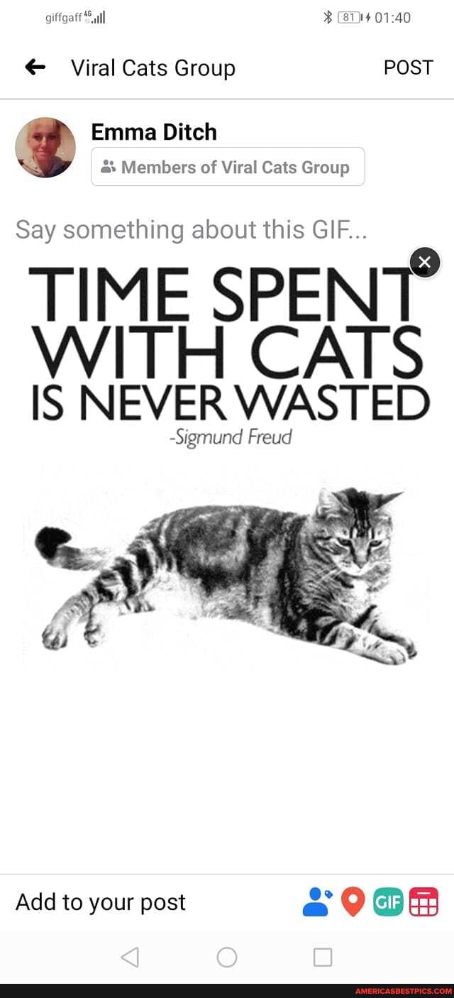 giffgatt
all
Viral Cats Group POST
Emma Ditch
Members of Viral Cats Group
Say something about this GIF...
TIME SPENT CATS
WITH IS NEVER WASTED Freud
-Sigmund Freud
Add to your post