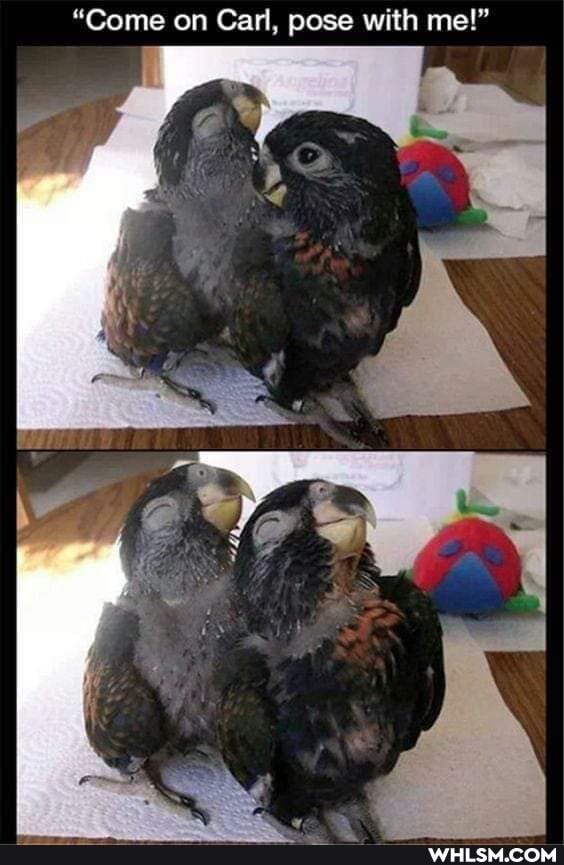 "Come on Can, pose with me!"