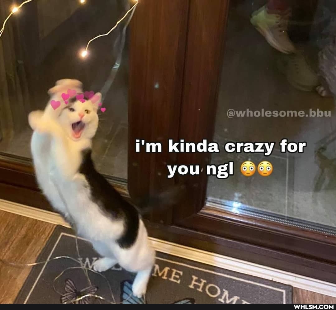 @wholesome.bbu
i'm kinda crazy for you ngl
Me