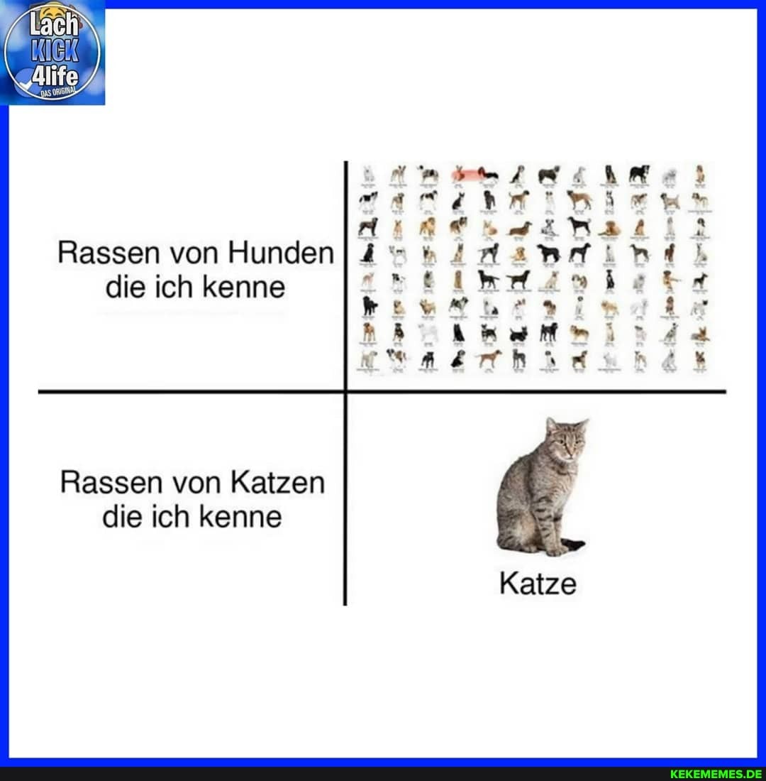 SET se
Katze
Rassen von Hunden die ich kenne
Rassen von Katzen die ich kenne