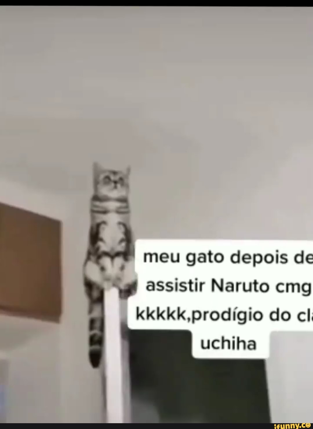 meu gato depois de
a, assistir Naruto cmg
uchiha
