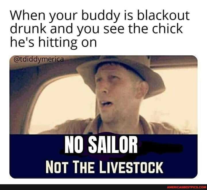 When your buddy is blackout drunk and you see the chick he's hitting on
@tciddymerica
NO SAILOR
NOT THE LIVESTOCK