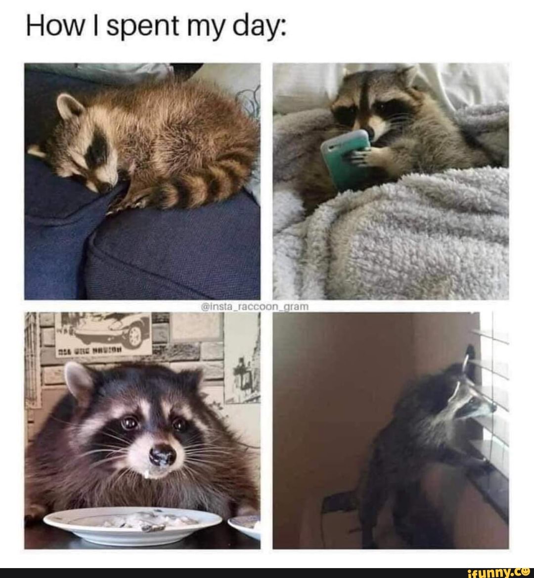 How I spent my day:
can