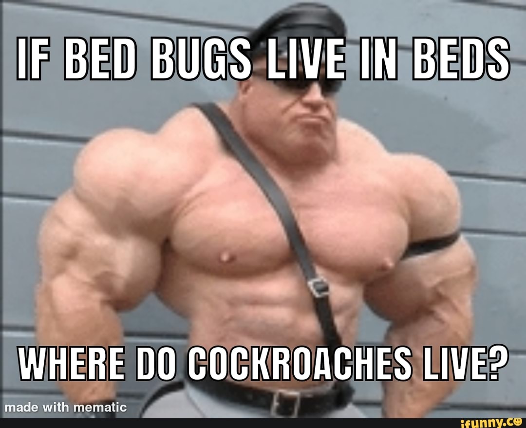 Me can we have At home? Mom we have At home. At home ul Sprint "F 1