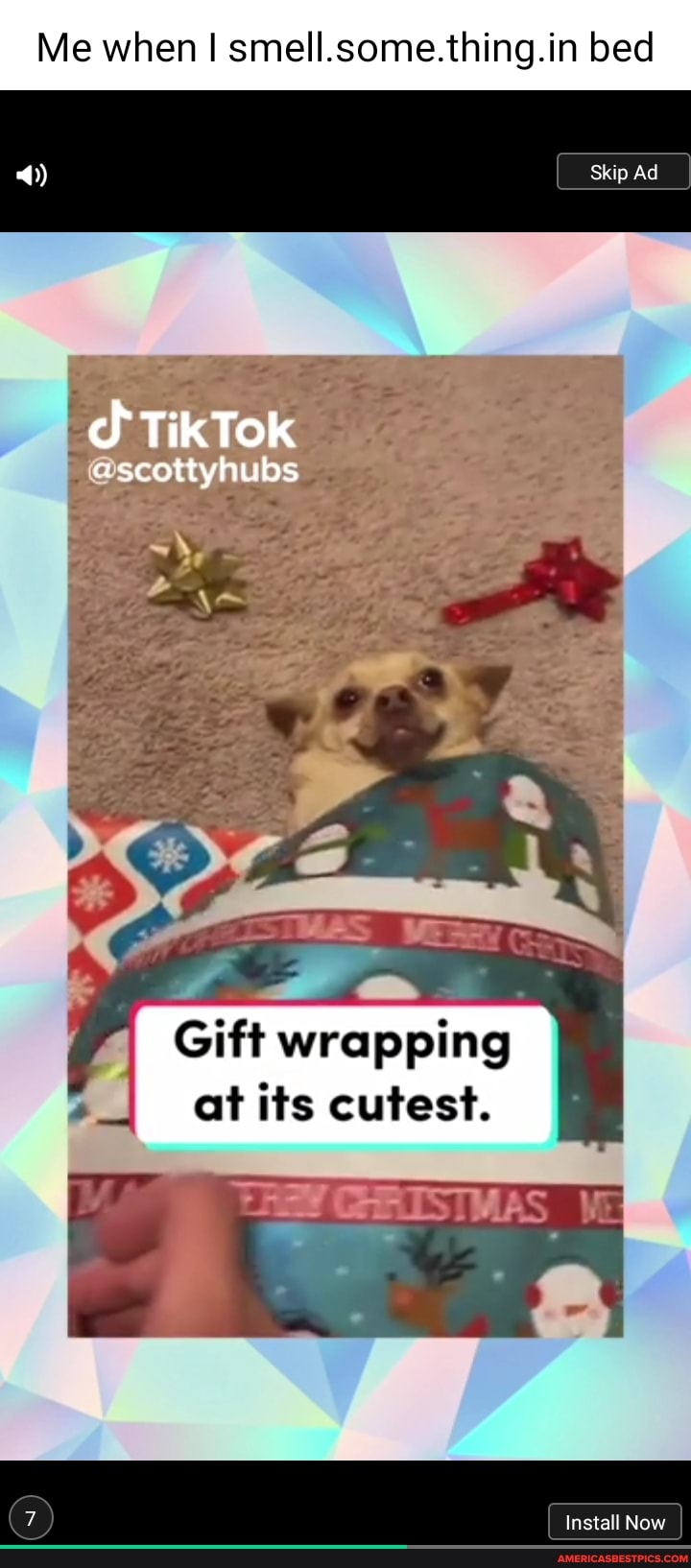 Me when I smell.some.thing.in bed
TikTok
ascottyhubs
Skip Ad
/I Gift wrapping
at its cutest.
I Install Now I