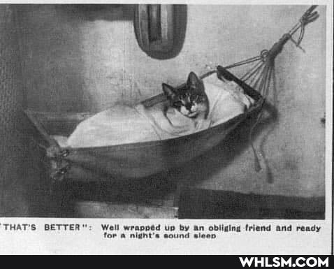 THAT'S BETTER": Well wrapped up by an obliging friend and ready for a nig