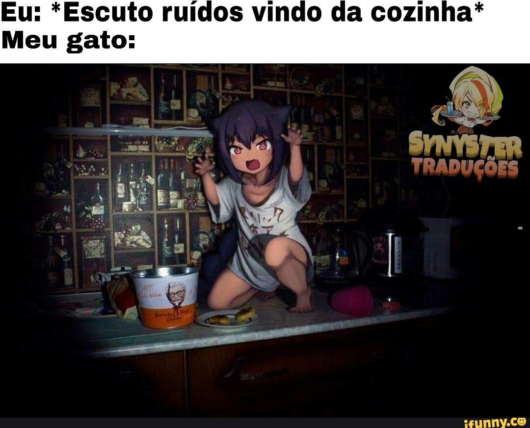 Eu: *Escuto ruidos vindo da cozinha*
Meu gato: