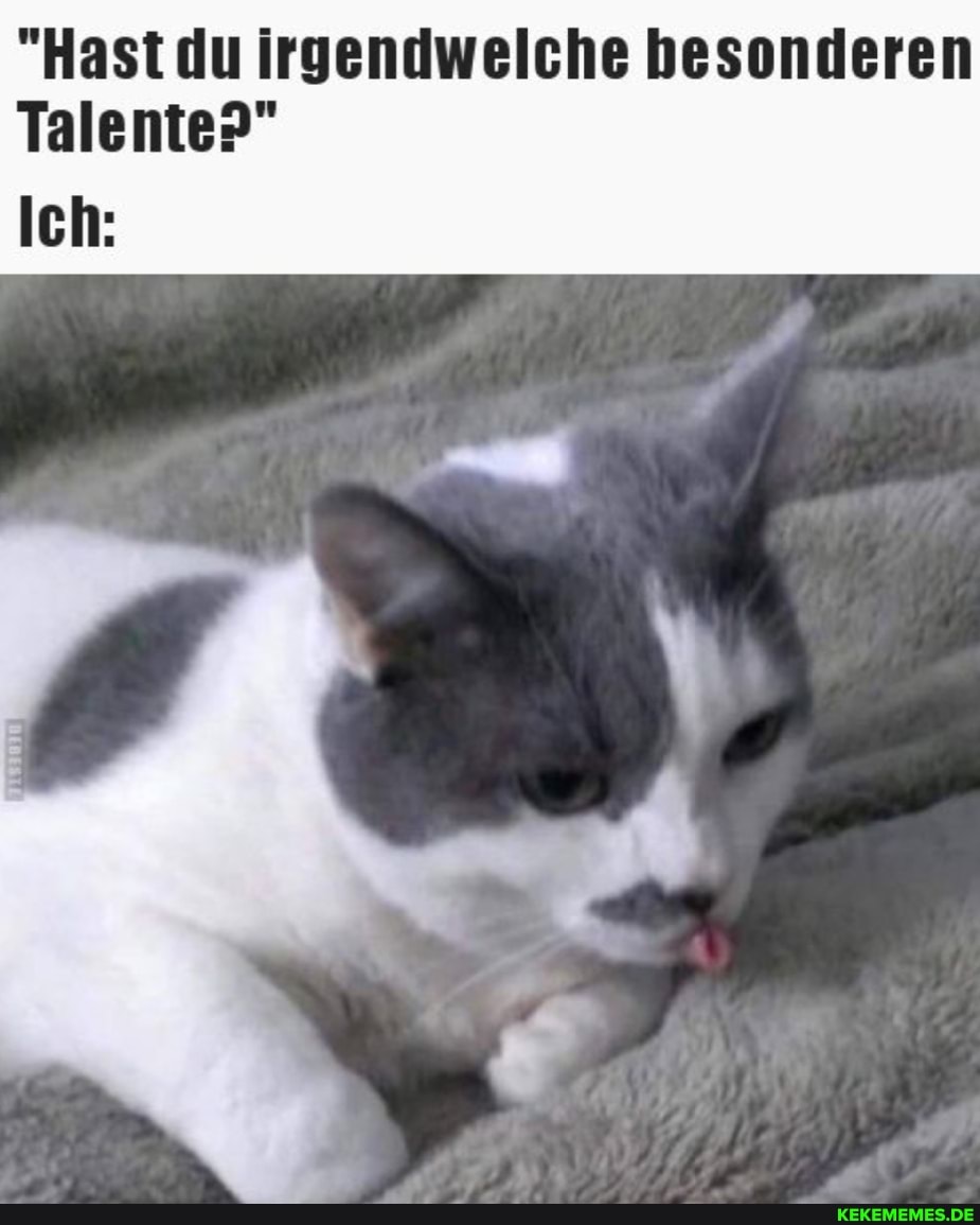 "Hast du irgendwelche besonderen
Talente?"