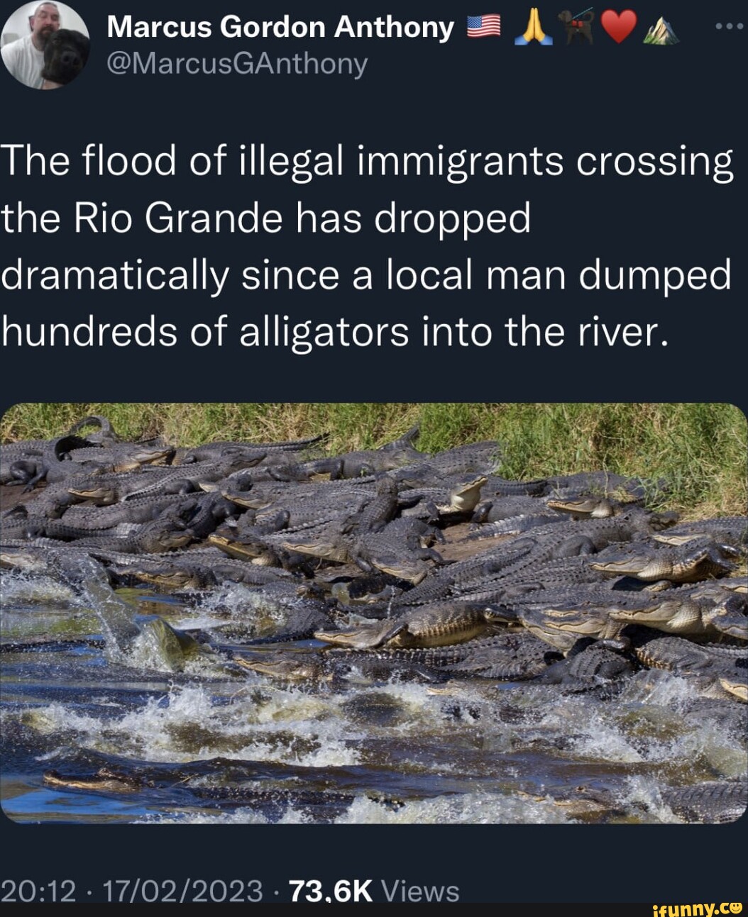 Marcus Gordon Anthony The flood of illegal immigrants crossing the Rio