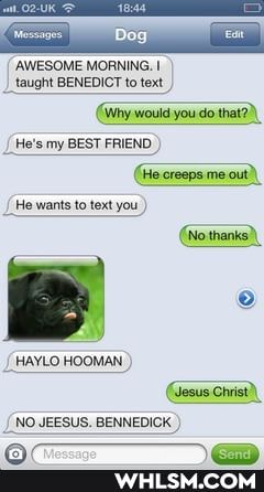 AWESOME MORNING. I taught BENEDICT to text
would you do thata\ te's my BEST FRIEND )
(He creepsme out)
He wants to text you )
(No thanks)\
[HAYLO HOOMAN )
(Gesus Christ)\
{NO JEESUS. BENNEDICK )