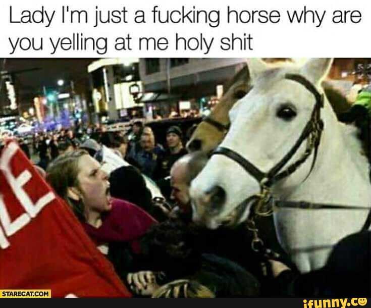 Lady Im Just A Fucking Horse Why Are You Yelling At Me Holy
