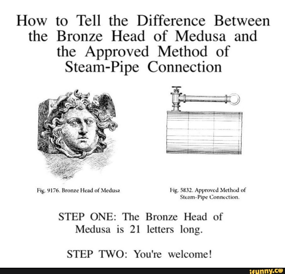 How to Tell the Difference Between the Bronze Head of Medusa and the