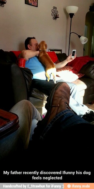 My father recently discovered Ifunny his dog
feels neglected - My father recently discovered Ifunny his dog feels neglected