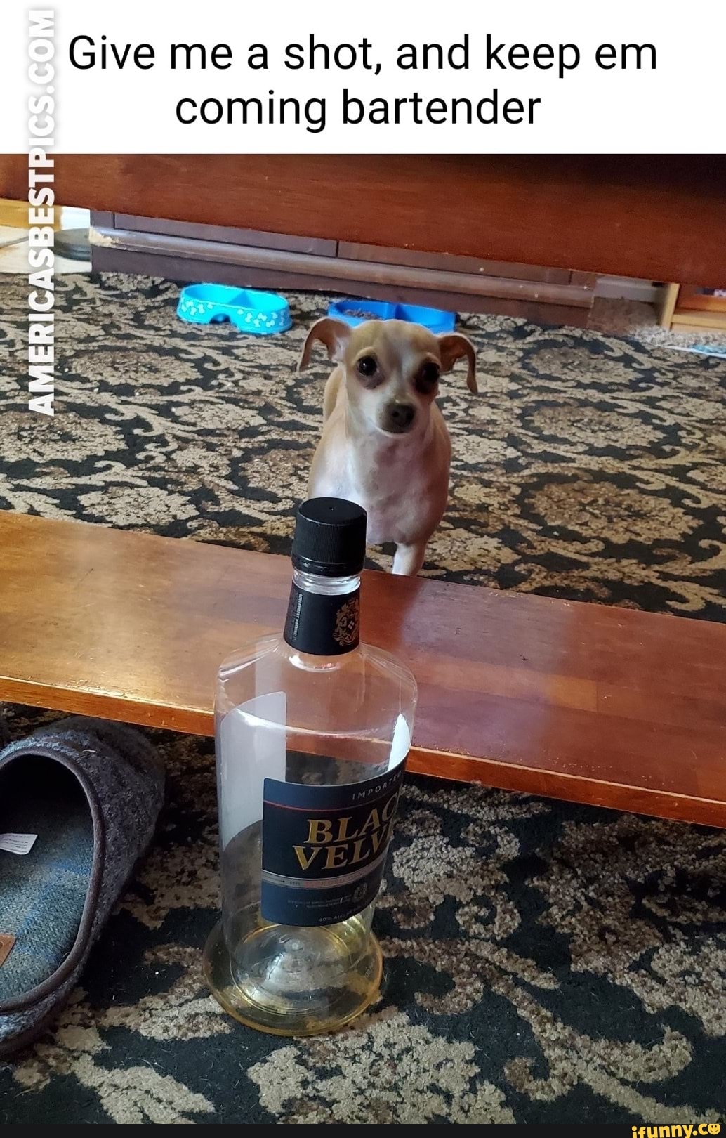 Give me a shot, and keep em coming bartender