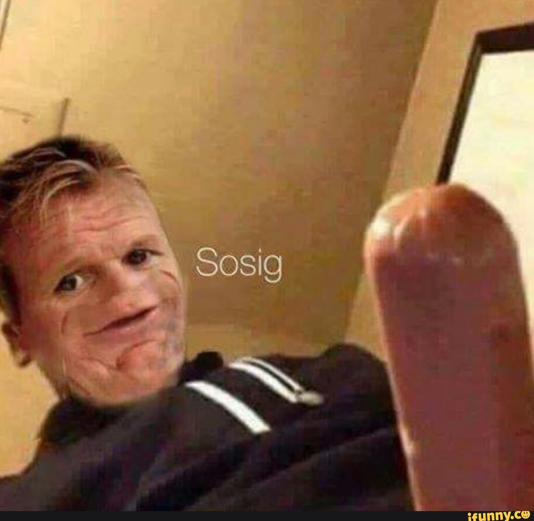 sosig, gordonramsay, funny