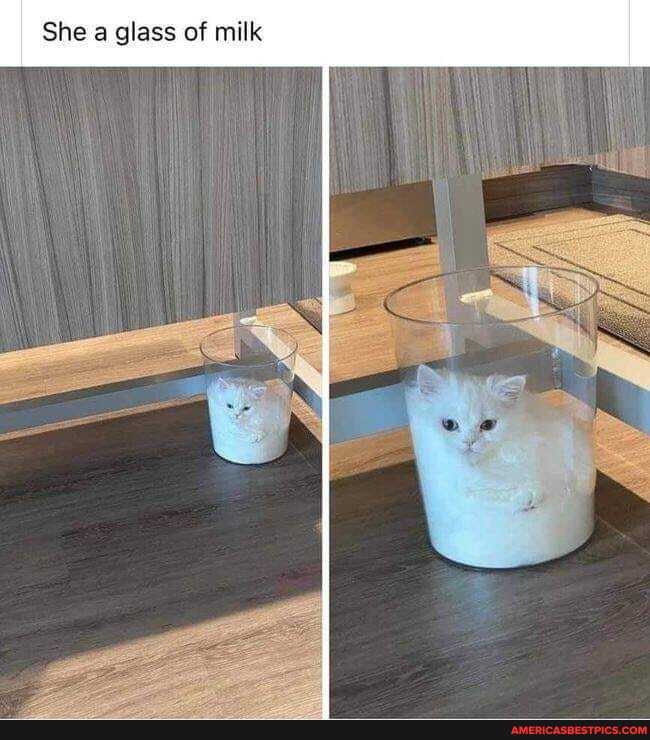 She glass of milk