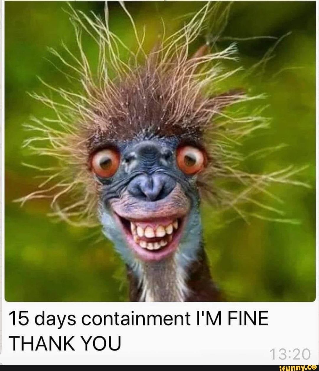 15 Days Containment I M Fine Thank You Ifunny