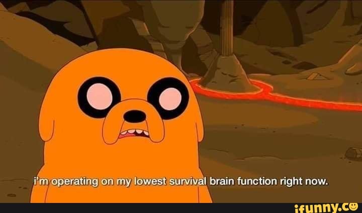 iimioperating onlmy lowest survival brain function right now.